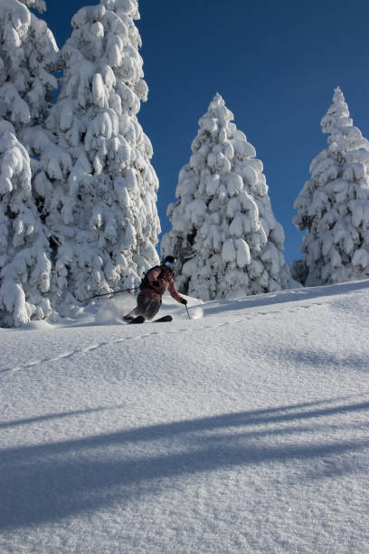 istock Woman skiing in powder snow 1295870962
