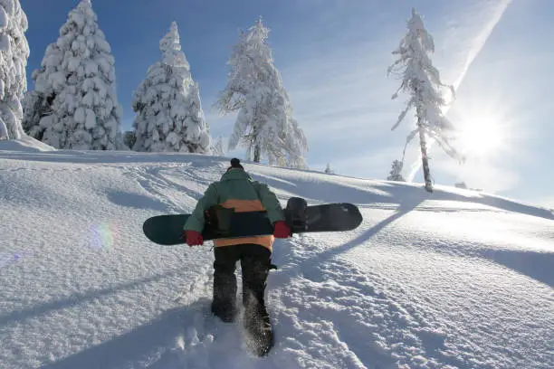 Snowboarder hiking up the mountain carrying a snowboard