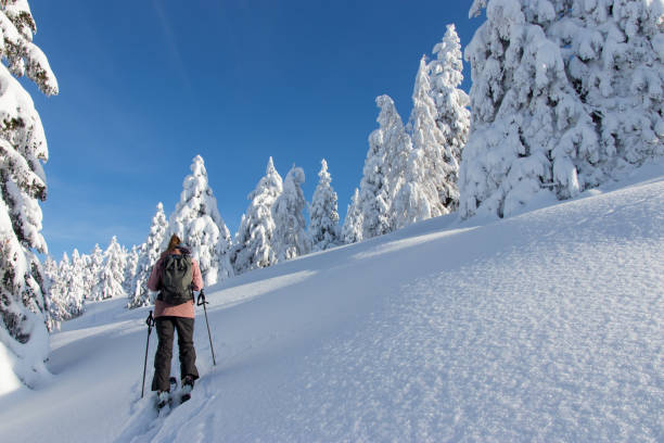 istock Woman ski touring in snow covered forest 1295871113