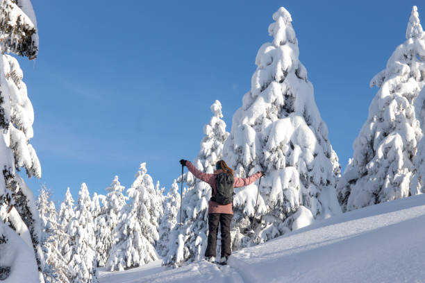 istock Woman skier enjoying nature 1295871147