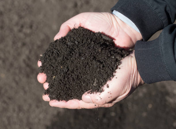 istock holding soil and humus in hand 1295872132