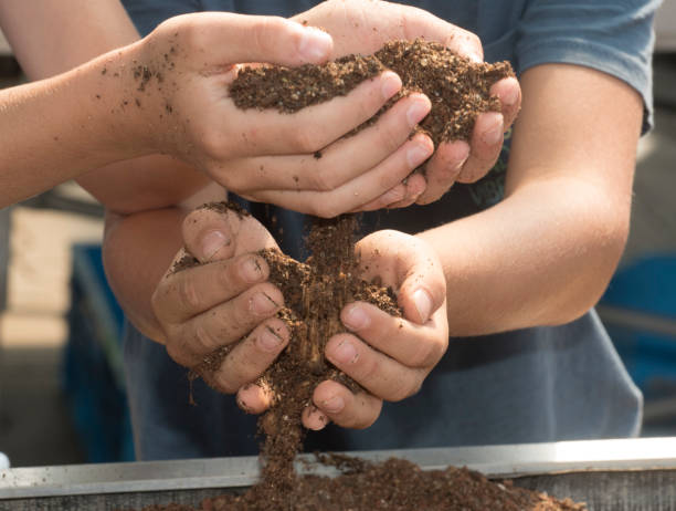istock holding soil and humus in hand 1295872135