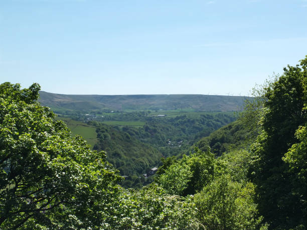 vista panorâmica da paisagem entre árvores de primavera no vale colden acima de penhascos hardcastle no oeste de yorkshire - west yorkshire forest hawthorn yorkshire - fotografias e filmes do acervo