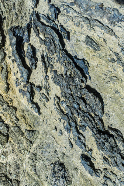 istock Macro Shot of Jagged Stones Protruding from Sand 1295875949