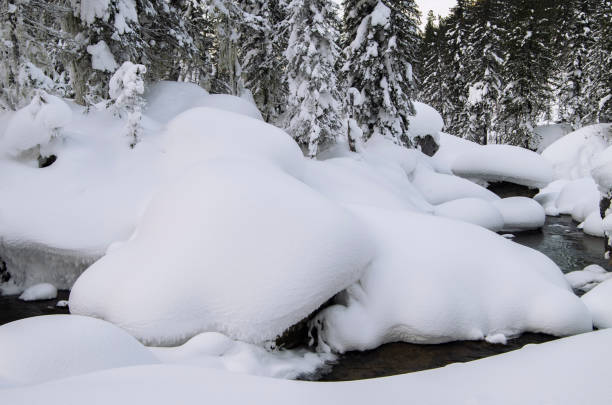 istock Majestic winter landscape glowing by sunlight in the morning. Dramatic wintry scene. 1295877345