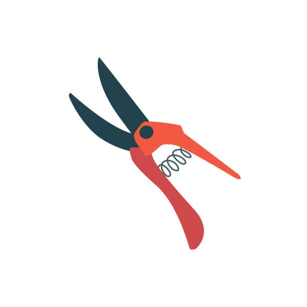 Vector secateurs, garden tool for cutting bushes. Orange and gray color isolated on a white background. Illustration in a flat style. Vector secateurs, garden tool for cutting bushes. Orange and gray color isolated on a white background. Illustration in a flat style. branch trimmers stock illustrations