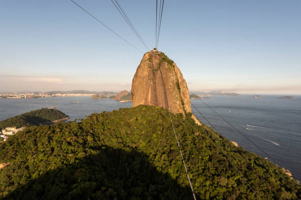 splendida vista dalla funivia di sugar loaf alla foresta pluviale - urca rio de janeiro rainforest brazil foto e immagini stock