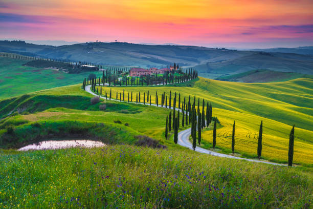 istock Tuscany rural scenery with grain fields at sunset, Asciano, Italy 1295885250
