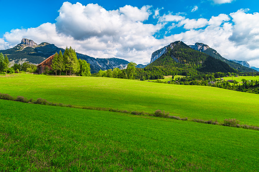Wonderful alpine summer scenery with green fields and mountains in background, Altaussee, Salzkammergut, Austria, Europe