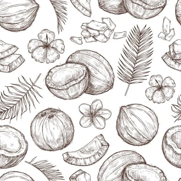 Vector illustration of Coconut seamless pattern. Fresh food, tropical leaf flowers print. Paradise beach coco, drawing hipster summer exotic exact vector texture