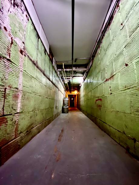 Dark Creepy Scary Basement Hallway