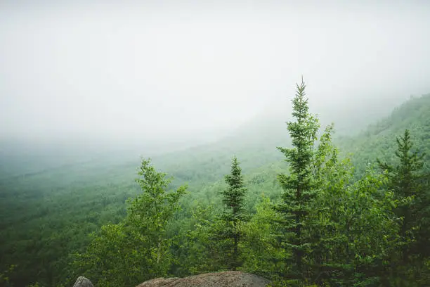 Photo of Moody landscape in the fog