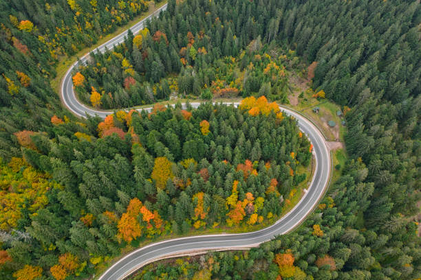 istock Asphalted road in the autumn mountain forest. 1295891527