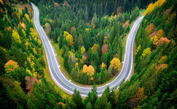 asphalted road in the autumn mountain forest. - road top view imagens e fotografias de stock