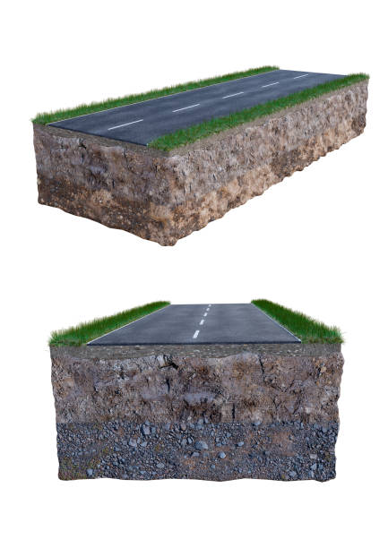 Small and green plant grows through urban asphalt ground. Green plant growing from crack in asphalt on road.  Space for text or design.