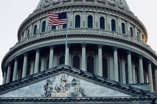 istock American Flag and Capitol Building Dome 1295893007