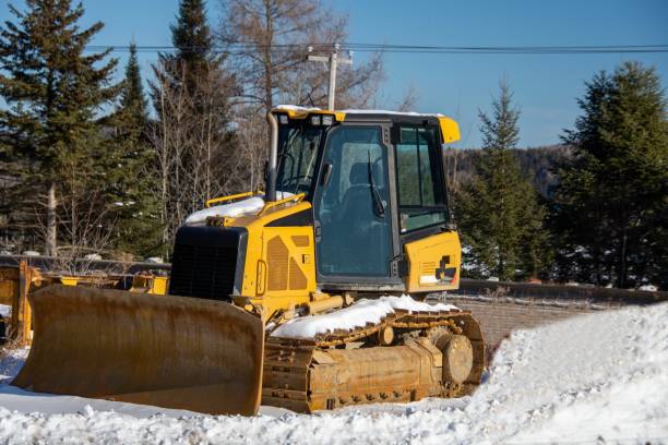 istock Heavy machinery for forestry and other operations 1295893031