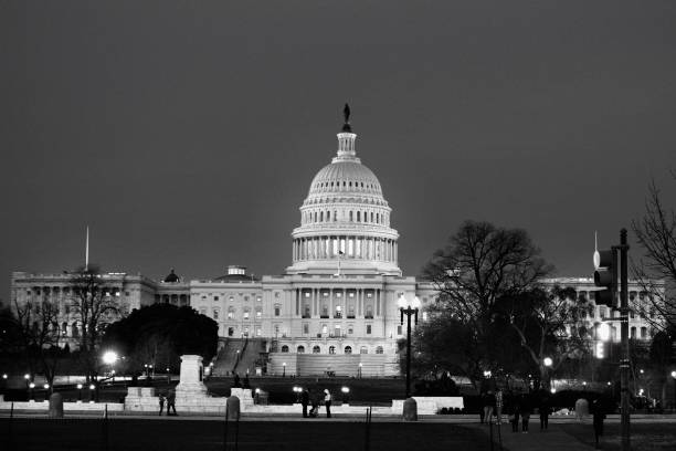 istock Washington DC - Capitol Building & Politics 1295893034