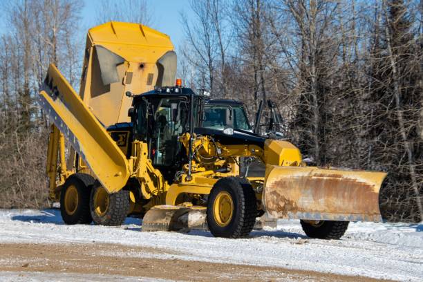 istock Heavy machinery for forestry and other operations 1295893690