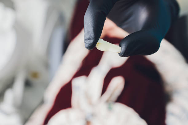 istock Orthodontist holds jaw in his hands for training. Package with capillaries, roots, pins. 1295893698