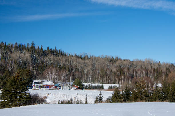 istock Winter landsacape on the countryside 1295893955