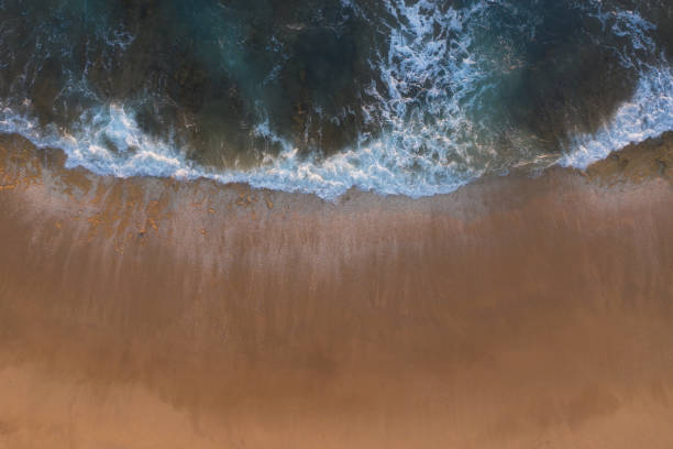 istock Australian Summer Beach Aerial 1295894887