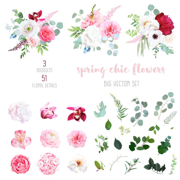 Pink hydrangea, rose, white peony, anemone, ochid and greenery Pink hydrangea, rose, white peony, anemone, ochid and greenery, flower, ranunculus, eucalyptus big vector collection. Floral bright watercolor style wedding bouquet. Elements are isolated and editable alstroemeria stock illustrations