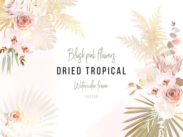 Vector illustration of Trendy dried palm leaves, blush pink and ivory rose, pale protea, white orchid, gold monstera