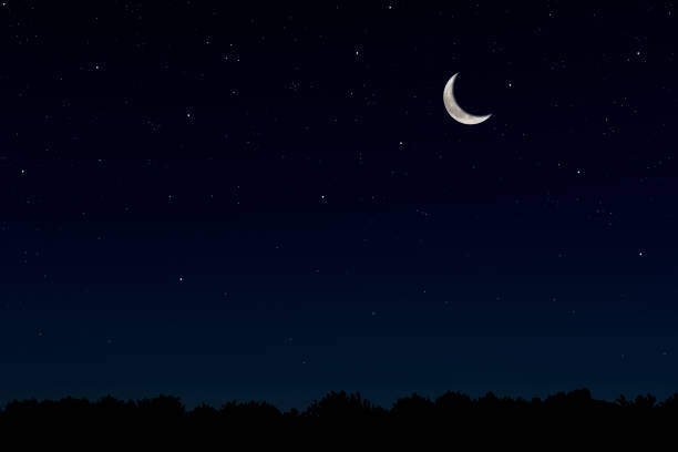 istock Crescent moon rising over the forest trees 1295896602