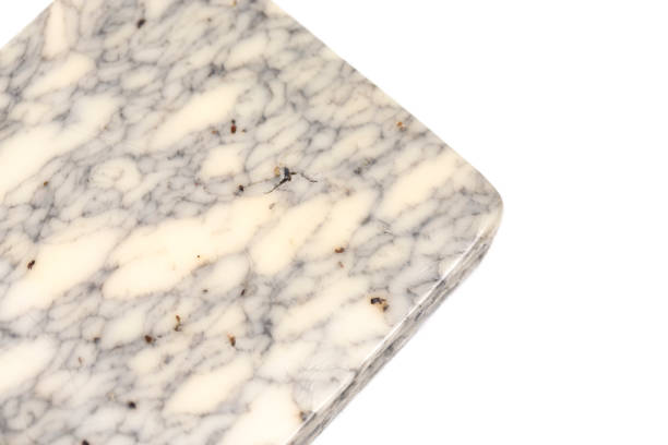 istock A Piece of Marble Blue Cheese Isolated on a White Background 1295896732