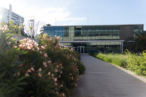 Empty hospital ward facade view from inner garden  - Covid-19 Concepts