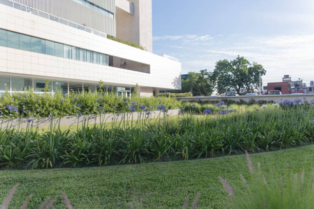 istock Empty hospital main building view from inner garden - Covid-19 Concepts 1295899943