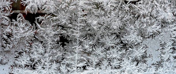 istock texture of frosty patterns on the winter window 1295902623
