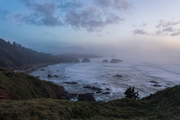 istock Oregon Pacific shoreline in Ecola State Park 1295904724