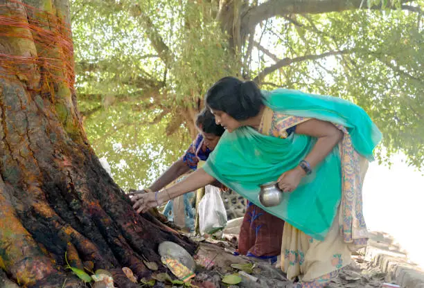 Concept of custom, religion, spirituality, natural resources, tradition, culture, festival etc. This photo has the potential to be used at various similar places depending on creativity of user. In the image is two Indian women in ethnic attire praying natural resources, in this photo, the Tree god outdoors as tree gives us oxygen and food besides other natural products.
