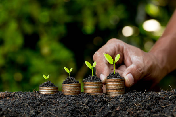 istock Hand putting coin on coin stack growing graph with green bokeh background,investment concept.tree growing on coin,Business Finance and Save Money concept 1295906425