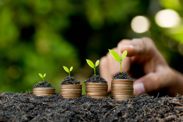 istock Hand putting coin on coin stack growing graph with green bokeh background,investment concept.tree growing on coin,Business Finance and Save Money concept 1295906436