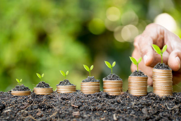 istock Hand putting coin on coin stack growing graph with green bokeh background,investment concept.tree growing on coin,Business Finance and Save Money concept 1295906439