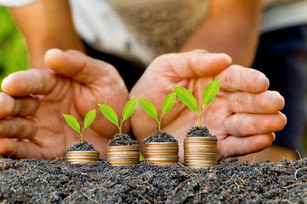 istock Hand putting coin on coin stack growing graph with green bokeh background,investment concept.tree growing on coin,Business Finance and Save Money concept 1295906442