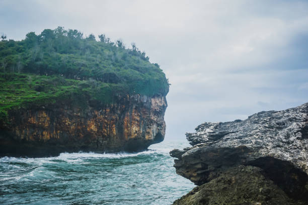 istock Indian Ocean coast in the south of Java island in Indonesia 1295907180