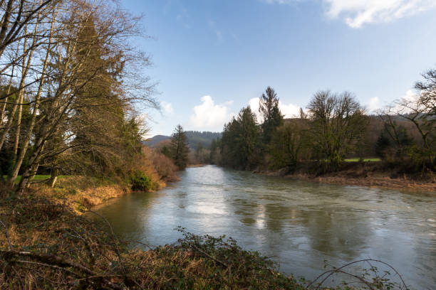 istock Nestucca river winter landscape in golden hour 1295907286