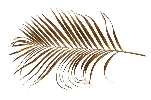 istock abstract green leaf texture, nature background, tropical leaf 1295912693