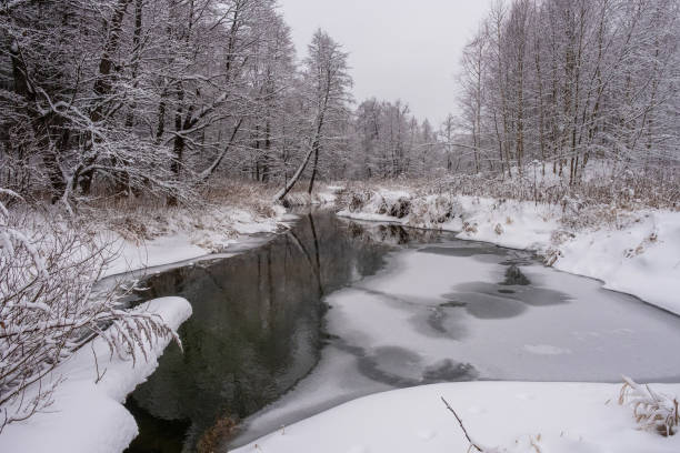 istock Winter landscape with a small forest river on a cloudy day. 1295912736