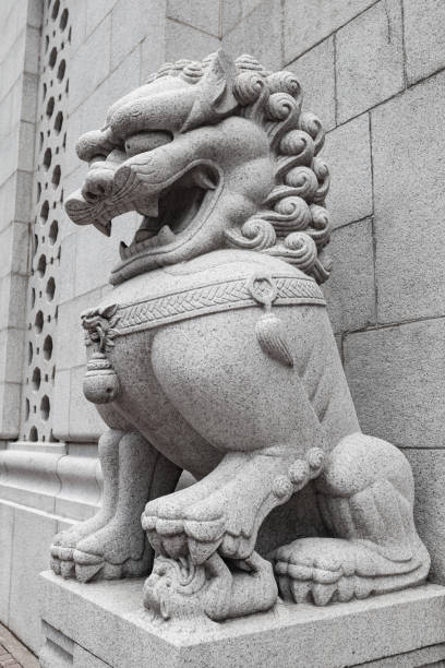 Chinese Imperial Lion Statue, Isolated on white background