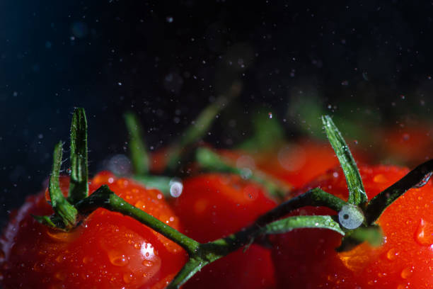 bright red cherry tomatoes on a dark background