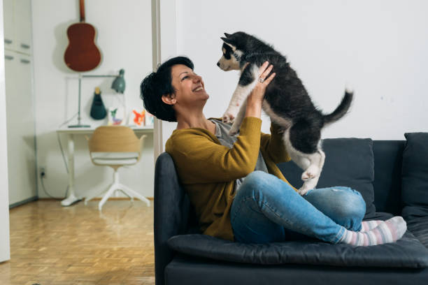 istock Woman at home enjoying time with her puppy 1295920121