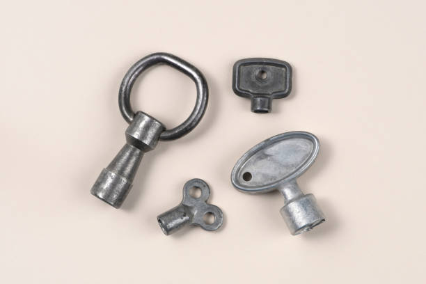 istock Panel key. Zinc Die Cast. Isolated on light background. 1295921447
