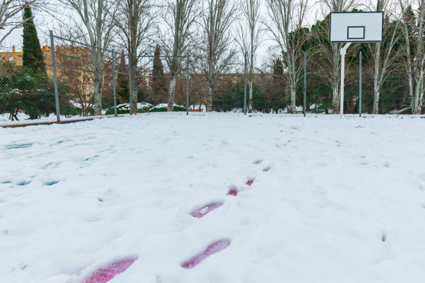 ośnieżone boisko do koszykówki w parku publicznym - street snow urban scene residential district zdjęcia i obrazy z banku zdjęć