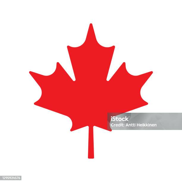 Maple leaf vector icon. Maple leaf vector illustration. Canada vector  symbol maple leaf clip art. Red maple leaf. Stock Vector