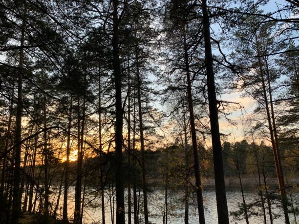 istock Autumn view of lake 1295925896